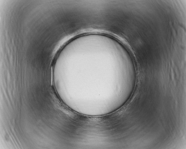 X0000102001223200807180841