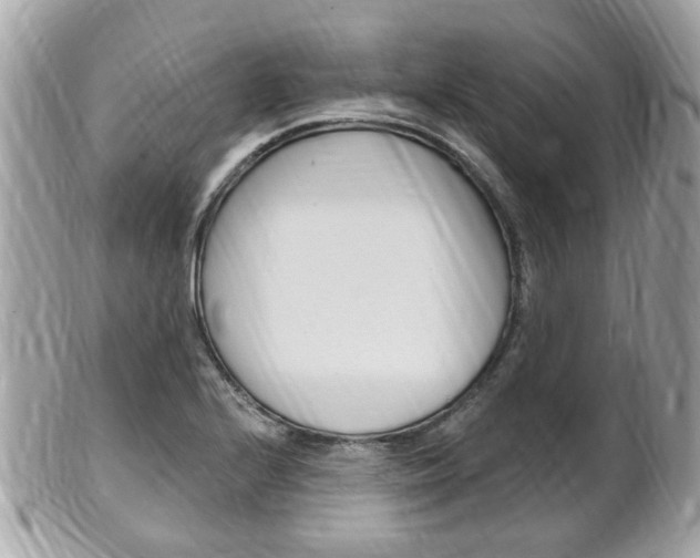 X0000102001224200807180841