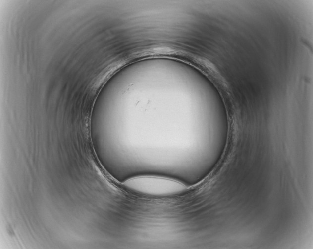 X0000102001225200807180841