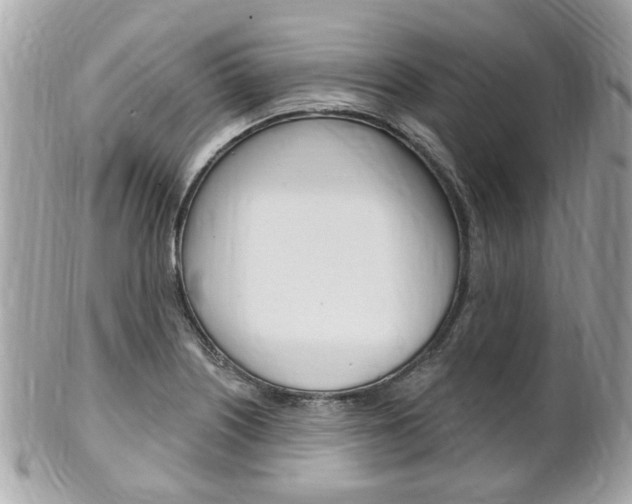 X0000102001226200807180841