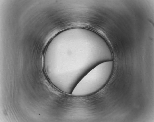 X0000102001227200807180841