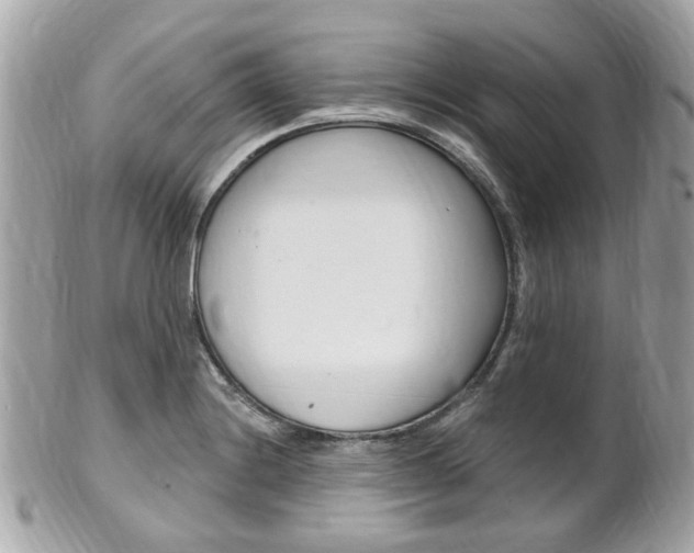 X0000102001228200807180841