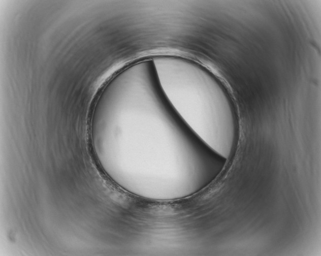 X0000102001229200807180841