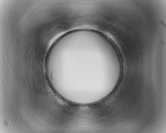 X0000102001230200807180841
