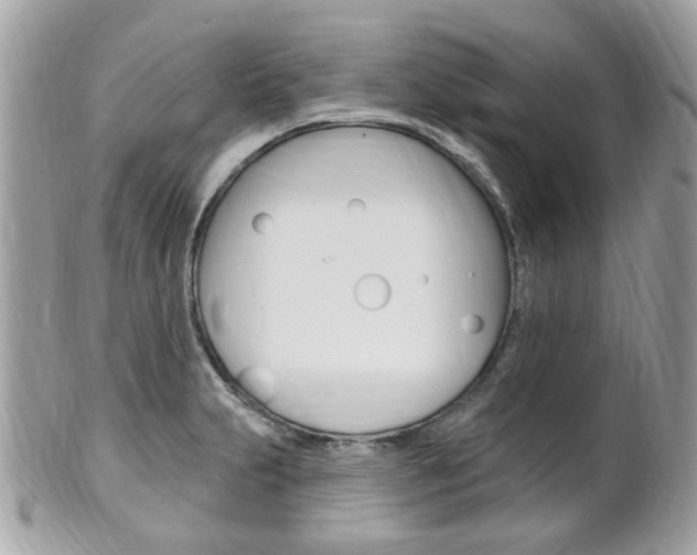 X0000102001231200807180841