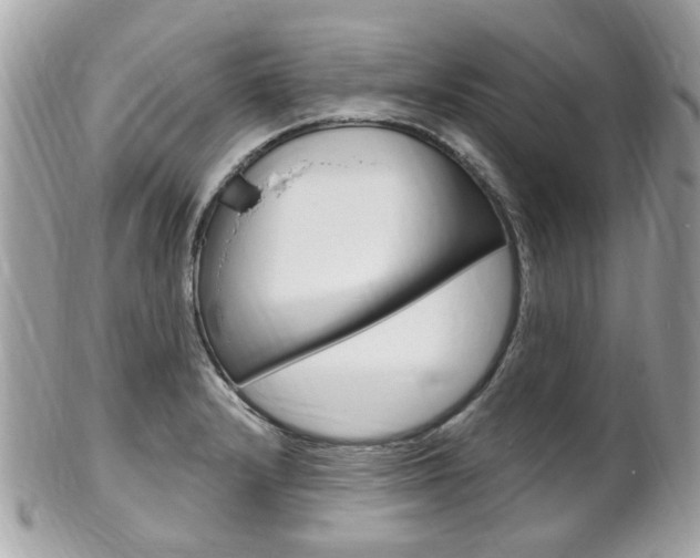 X0000102001232200807180841