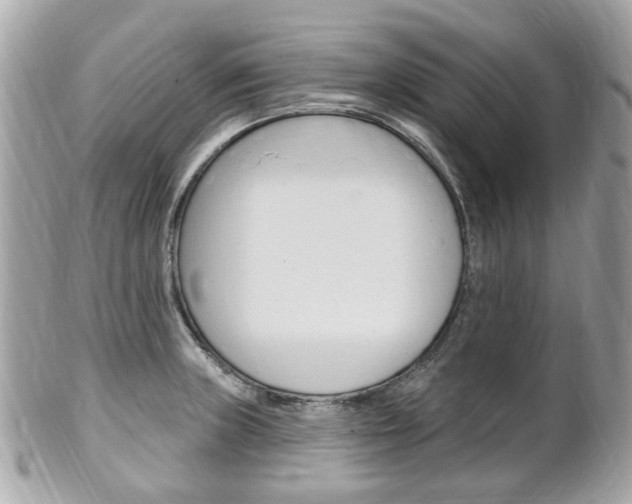 X0000102001235200807180841