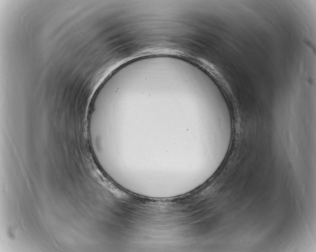 X0000102001236200807180841