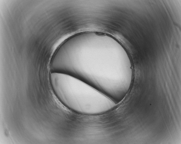 X0000102001238200807180841