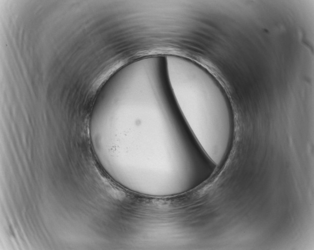 X0000102001241200807180841