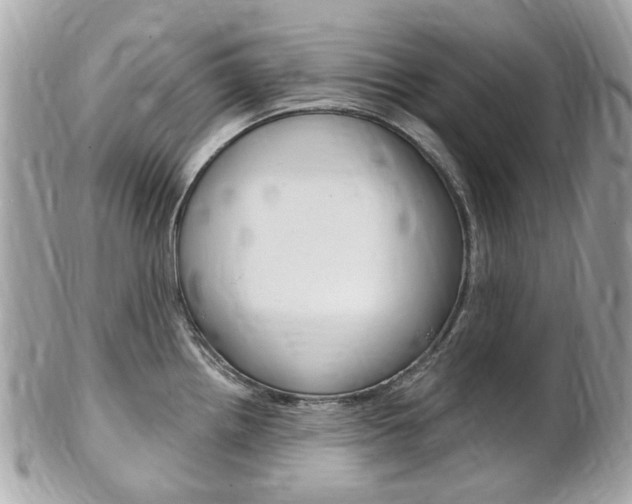 X0000102001242200807180841