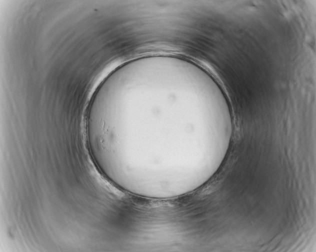 X0000102001243200807180841
