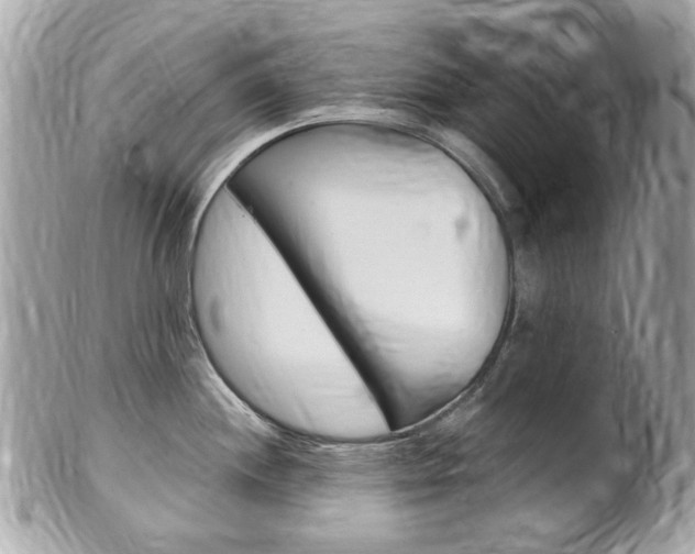 X0000102001244200807180841