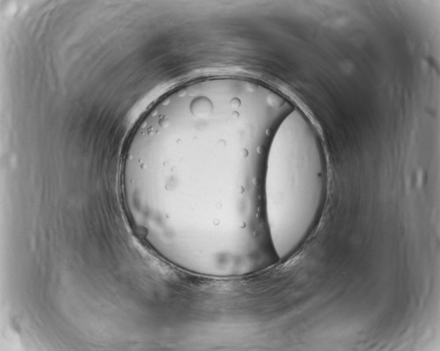 X0000102001245200807180841