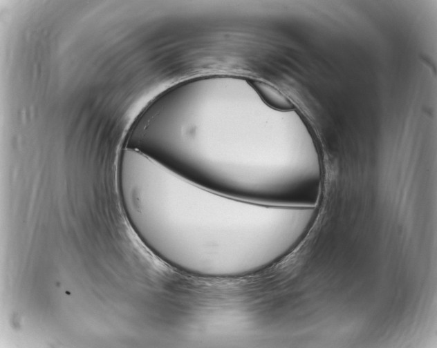 X0000102001246200807180841