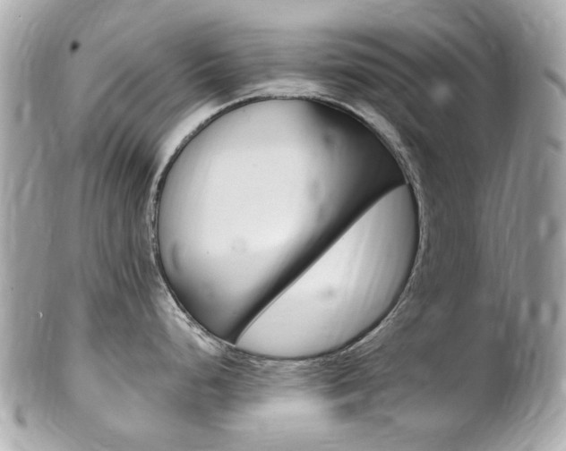 X0000102001248200807180841