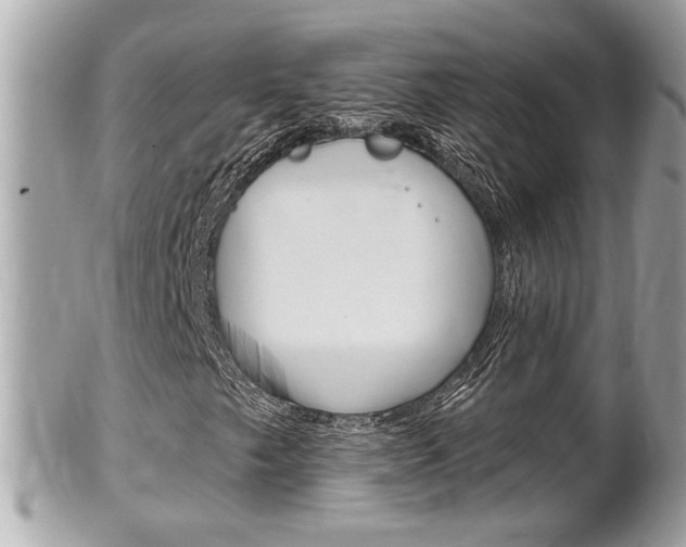 X0000102001249200807180840