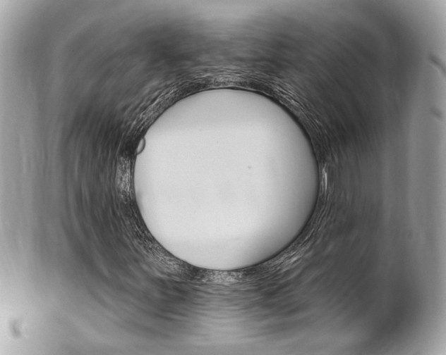 X0000102001251200807180840