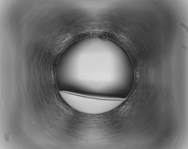 X0000102001252200807180840