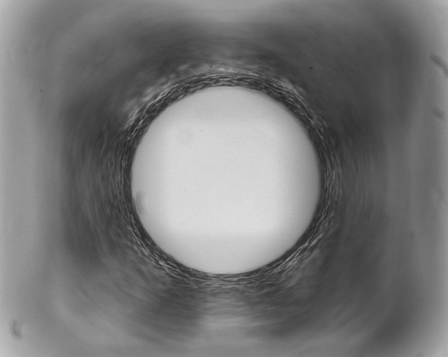X0000102001253200807180840