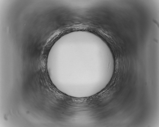 X0000102001254200807180840