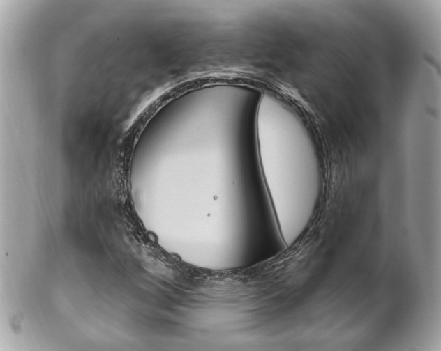 X0000102001256200807180840