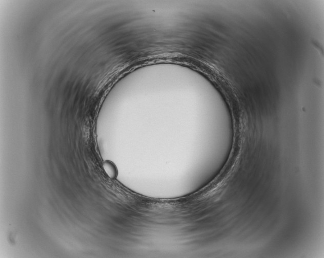 X0000102001257200807180840