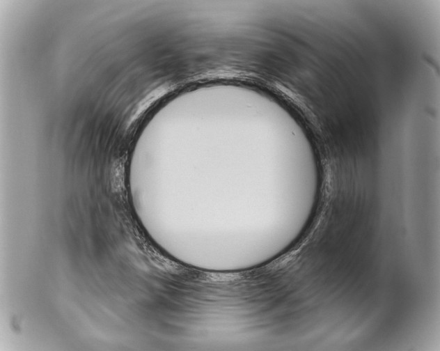 X0000102001258200807180840
