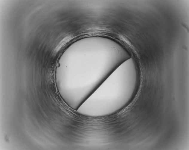 X0000102001259200807180840