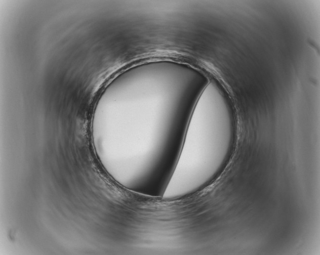 X0000102001260200807180840