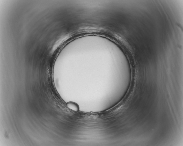 X0000102001261200807180840