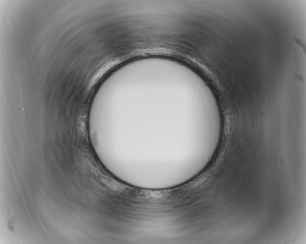 X0000102001266200807180840