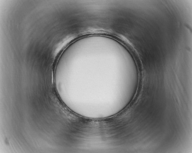 X0000102001269200807180840