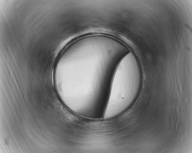 X0000102001272200807180840