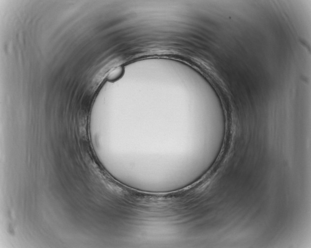 X0000102001273200807180840