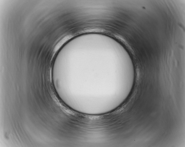 X0000102001274200807180840
