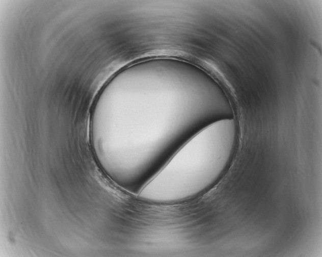 X0000102001276200807180840