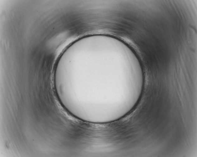 X0000102001278200807180840