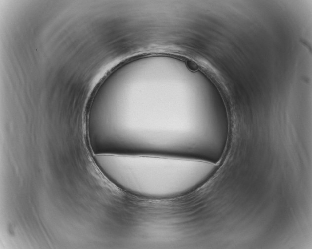 X0000102001280200807180840