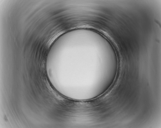 X0000102001281200807180840