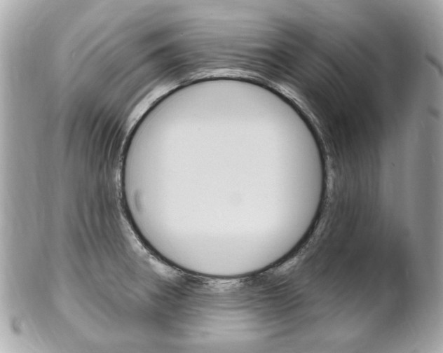 X0000102001282200807180840