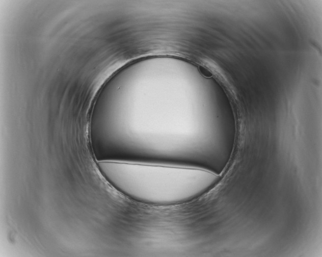 X0000102001284200807180840
