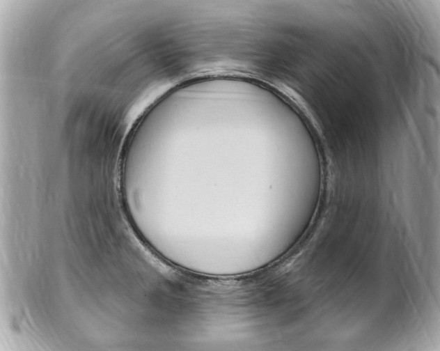 X0000102001285200807180840