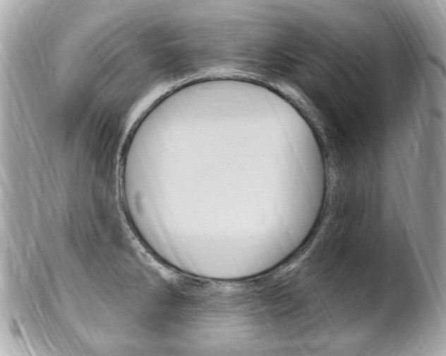 X0000102001286200807180840