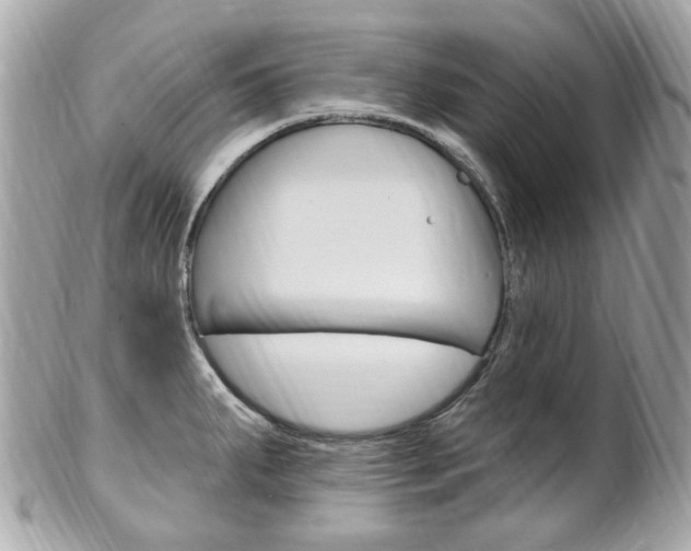 X0000102001287200807180840