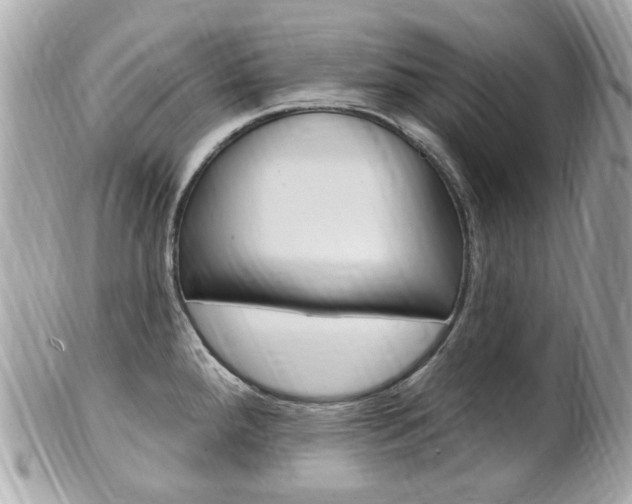 X0000102001288200807180840