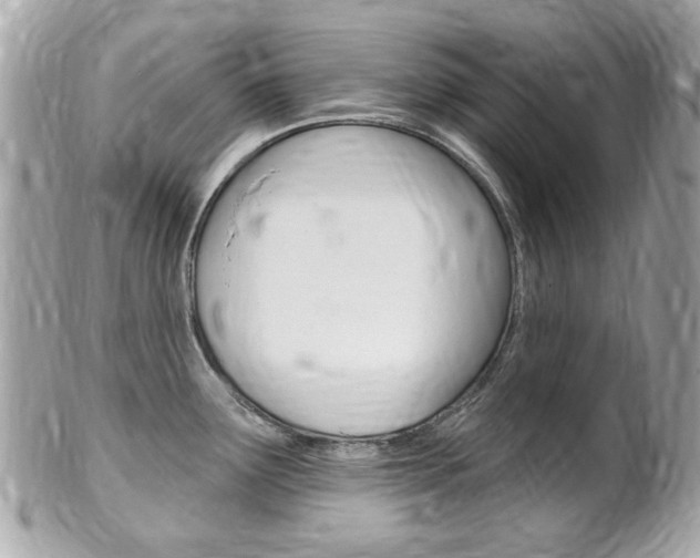 X0000102001291200807180840