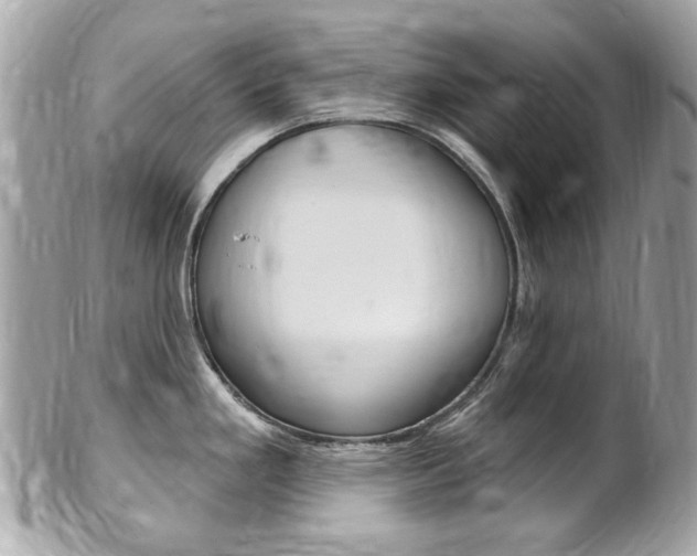 X0000102001293200807180840