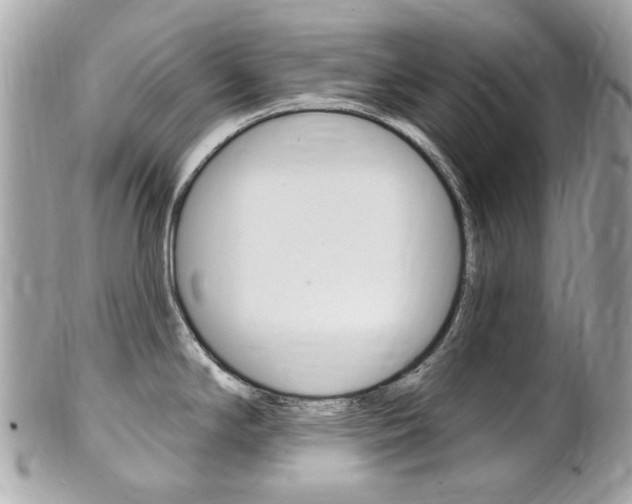 X0000102001294200807180840