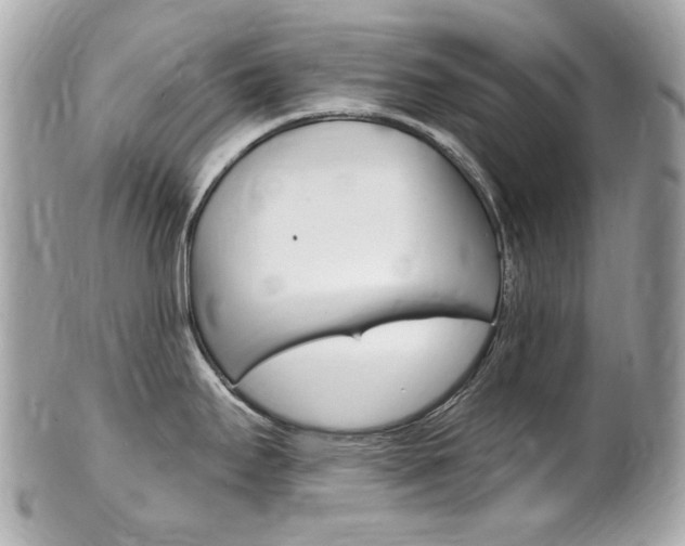 X0000102001295200807180840